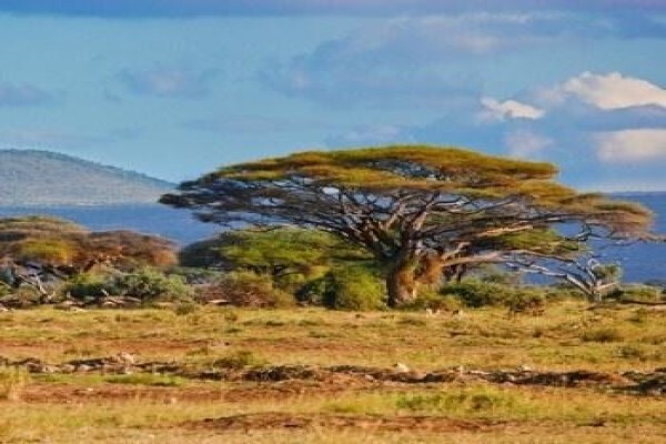 Georesources Africa