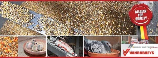 Bppd Belgium Pigeon Products Distributors Rsa