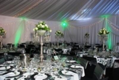 Draping Creations