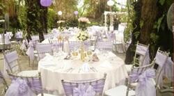 Rapid Party Hire