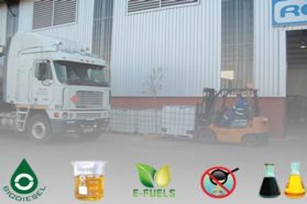 Rein Oil