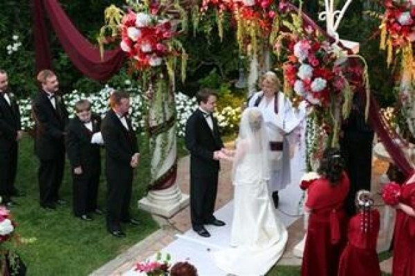 Wedding Dj Specialist