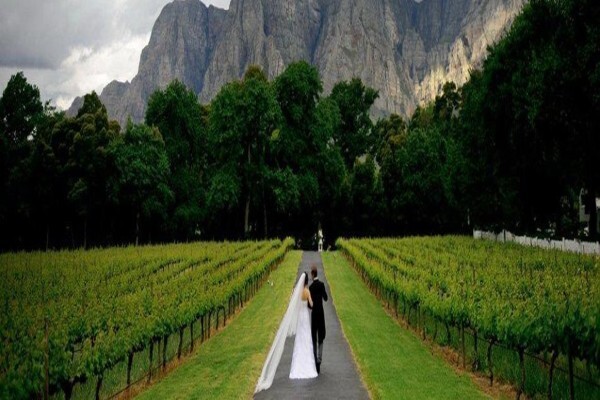 Dream Wedding Djs