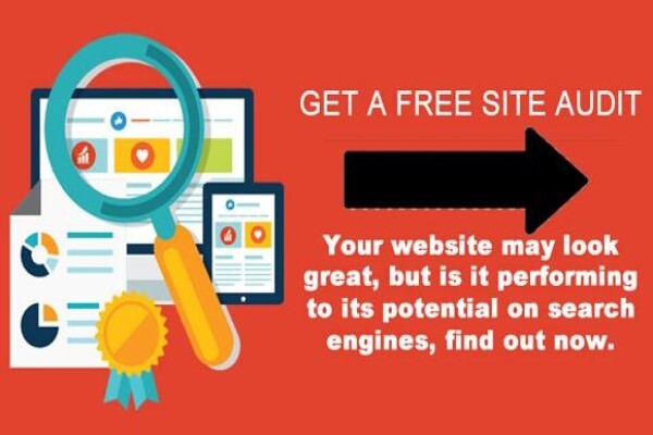 SEO Specialist