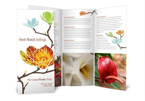 Fancy Frog Web & Graphic Design