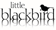 Little Blackbird Design Studio