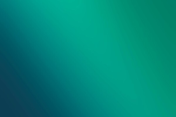 Insight Solutions