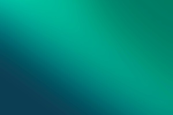 Insight Solutions