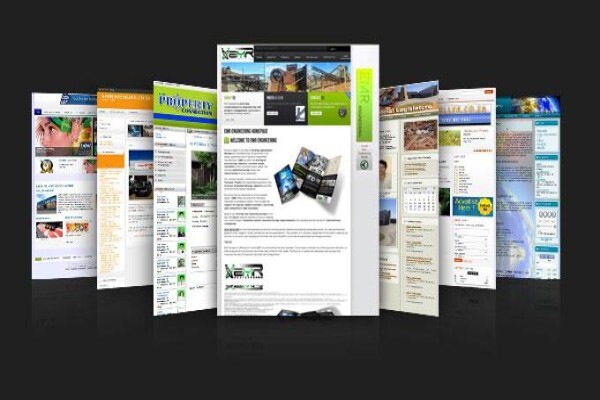 Frogi Logo & Webdesign