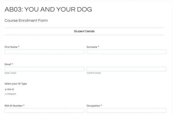 Brilliant Creations Website Design