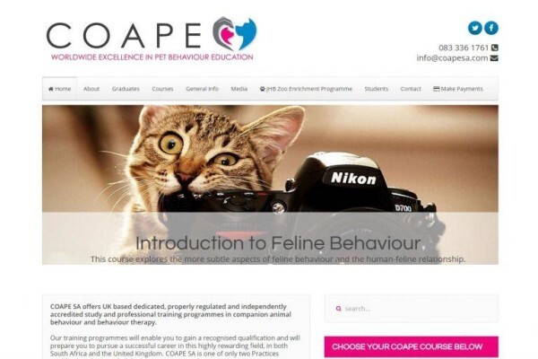 Brilliant Creations Website Design