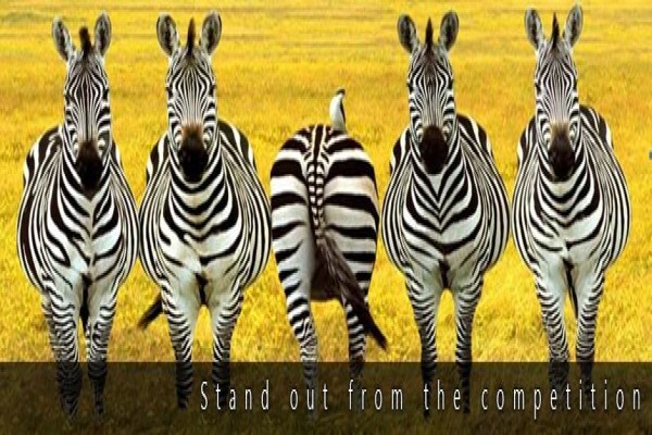 Inc. Print Solutions