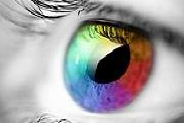 Inc. Print Solutions