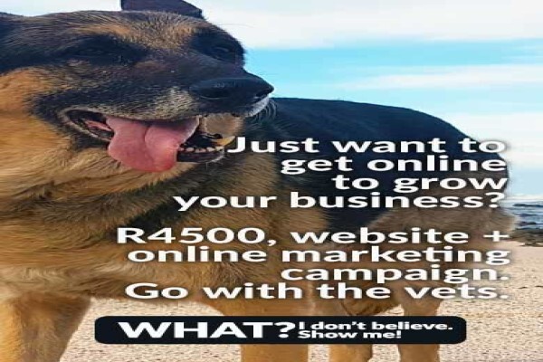Black Alsatian Technologies Cc