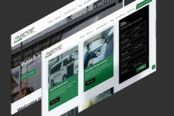 Netmechanic