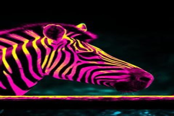 Bianca Venter Fine Art