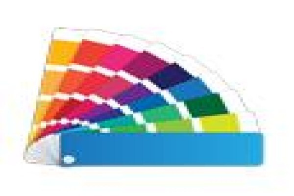 Cas Web Design Studios