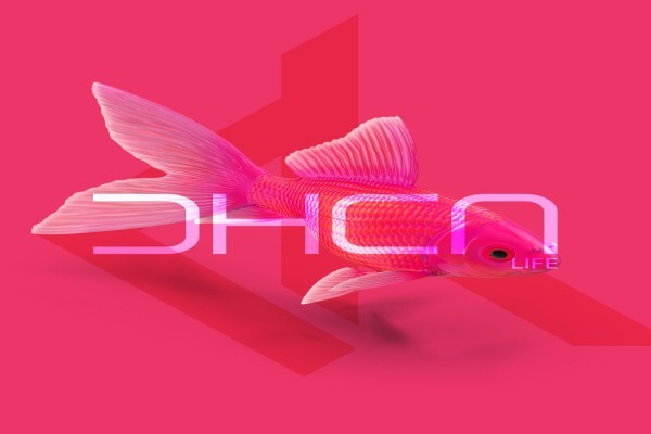 Dorky Hero Creative Agency