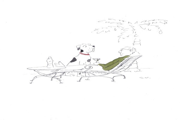 Sandy Mitchell - Writer And Illustrator