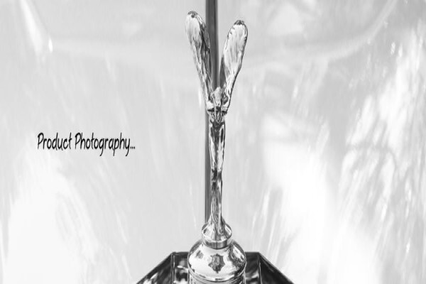 Ledine Photography And Designsch