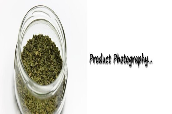 Ledine Photography And Designsch