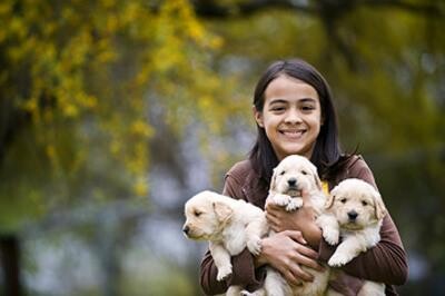 Cape Animal Medical Centre