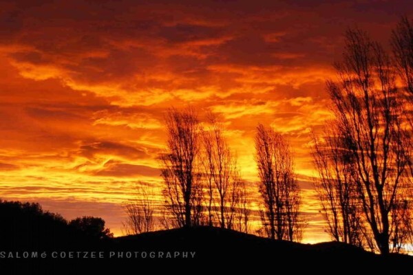 Salome Coetzee Photography