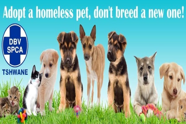 Tshwane SPCA (Centurion)