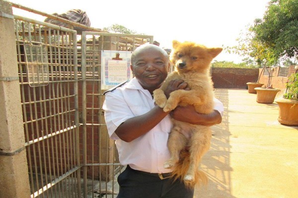 Tshwane SPCA (Centurion)