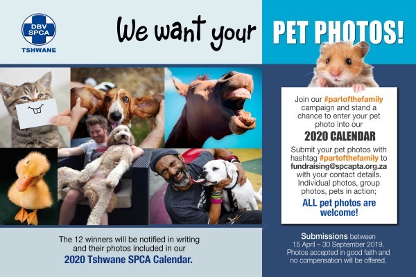 Tshwane SPCA (Centurion)