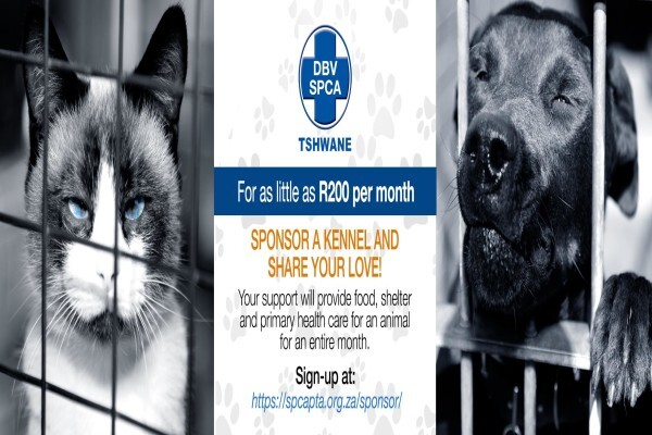 Tshwane SPCA (Centurion)
