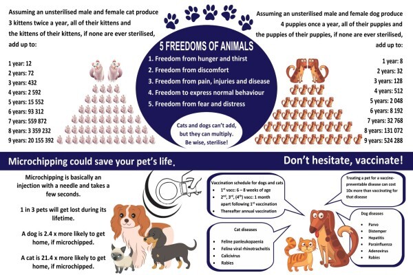 Tshwane SPCA (Main Office)