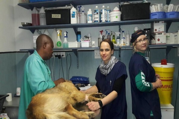Tshwane SPCA (Main Office)