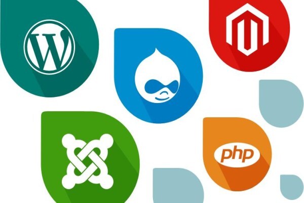 Yougottohaveit Website Designers