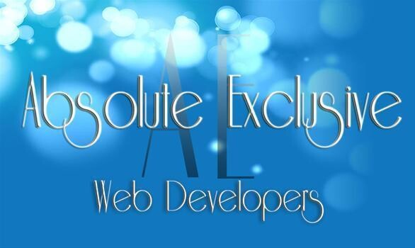 Absolute Exclusive Web Developers