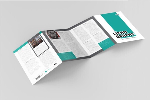 Snappingturtle Design