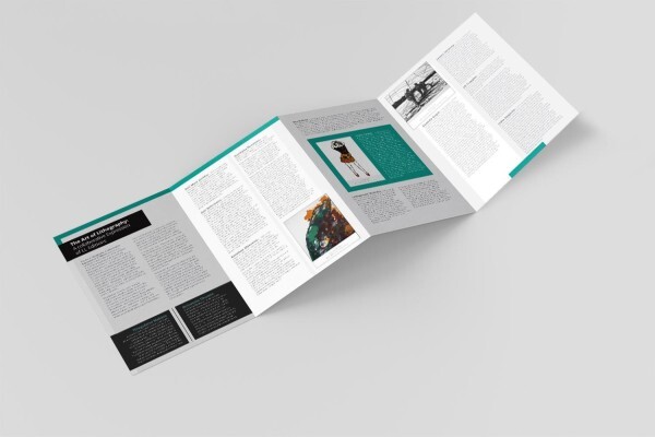 Snappingturtle Design