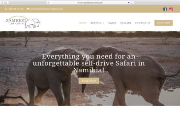 Website Designer