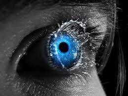 Bluechrome Websolutions