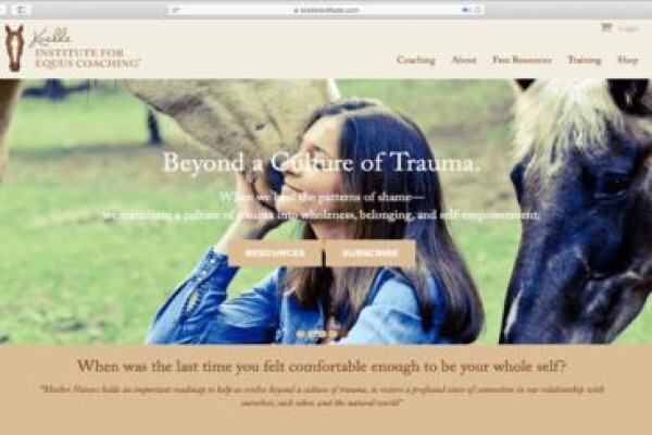 Freelance Web Designer