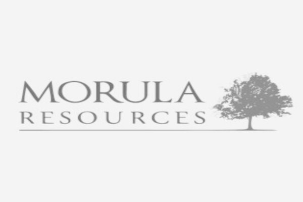 Blackindex Websites