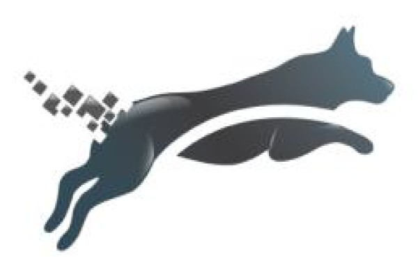 Dolphin Mis