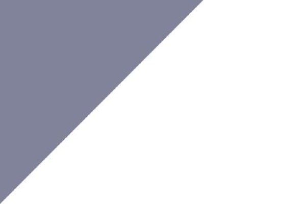 Terranova Marketing Design Events