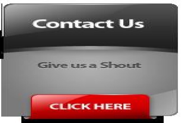 Frogi Website Designers