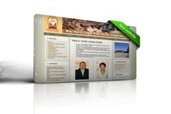 Frogi Website Designers