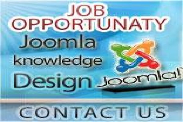 Frogi Website Designers
