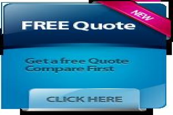 Frogi Website Designers