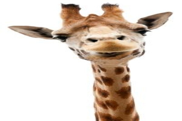 Memeworx