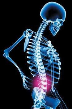 Bradley Waterer Chiropractic