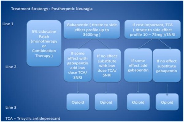 Dr C Avenant Inc